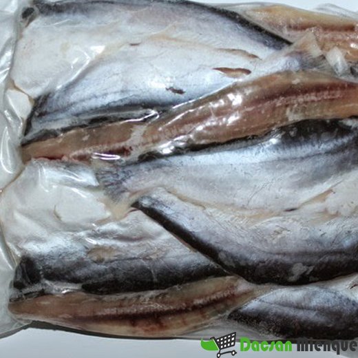 CÁ CHÉT MỘT NẮNG