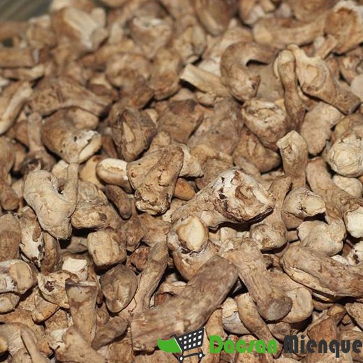CHÂN NẤM HƯƠNG
